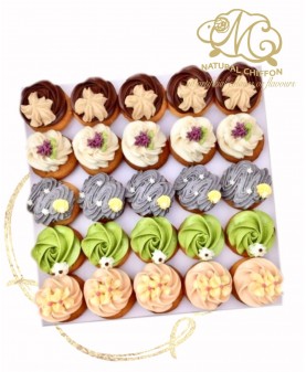 mini cupcake set B